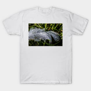 Goose feather with droplets of rain T-Shirt